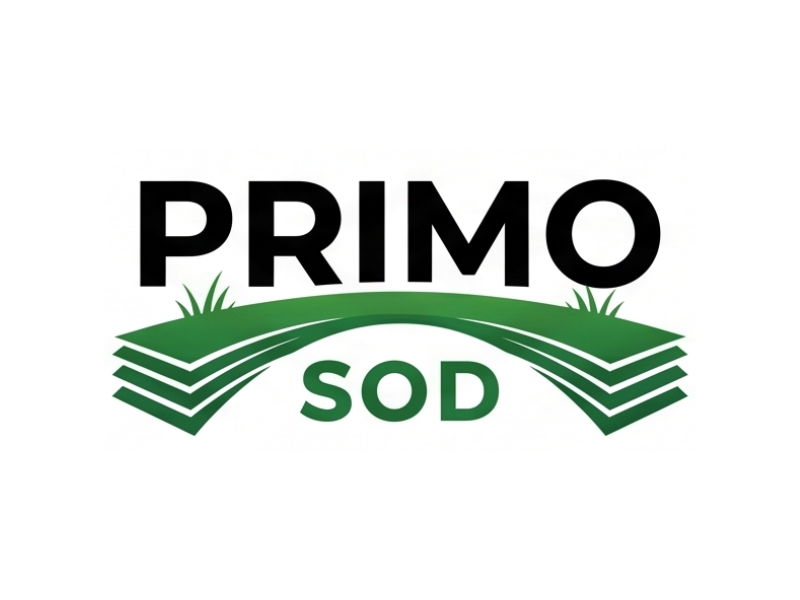  logo design by Octavino