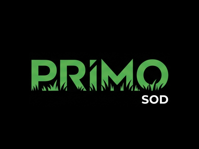 Primo Sod logo design by Berkah Corel