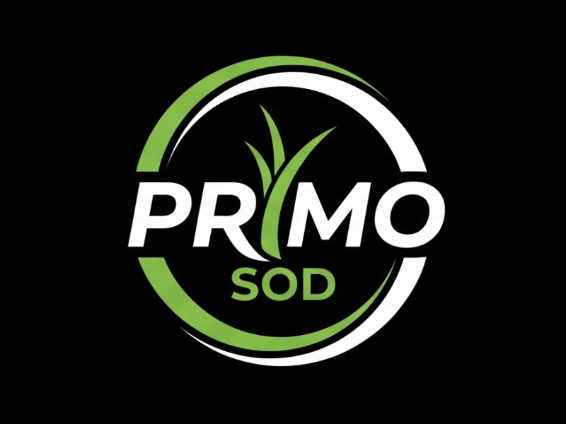 Primo Sod logo design by Berkah Corel