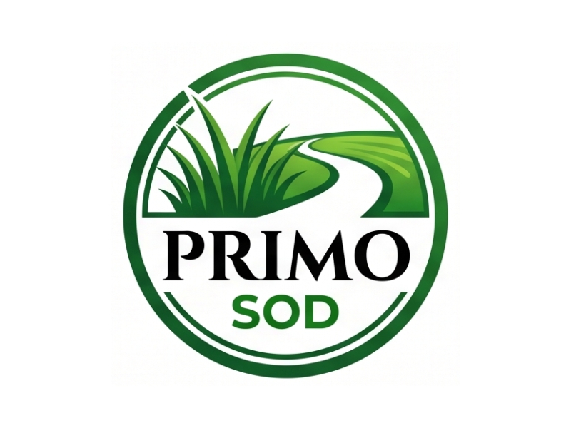 Primo Sod logo design by Berkah Corel