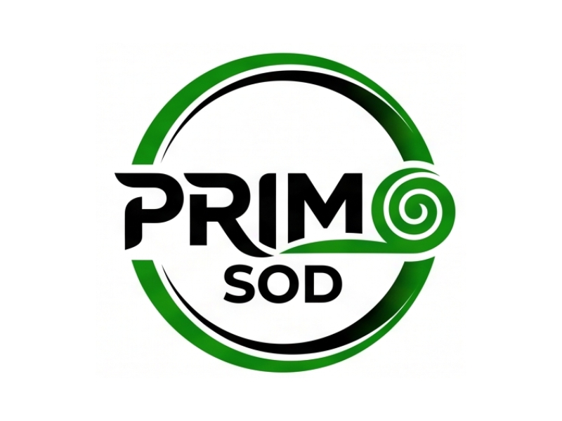 Primo Sod logo design by Berkah Corel