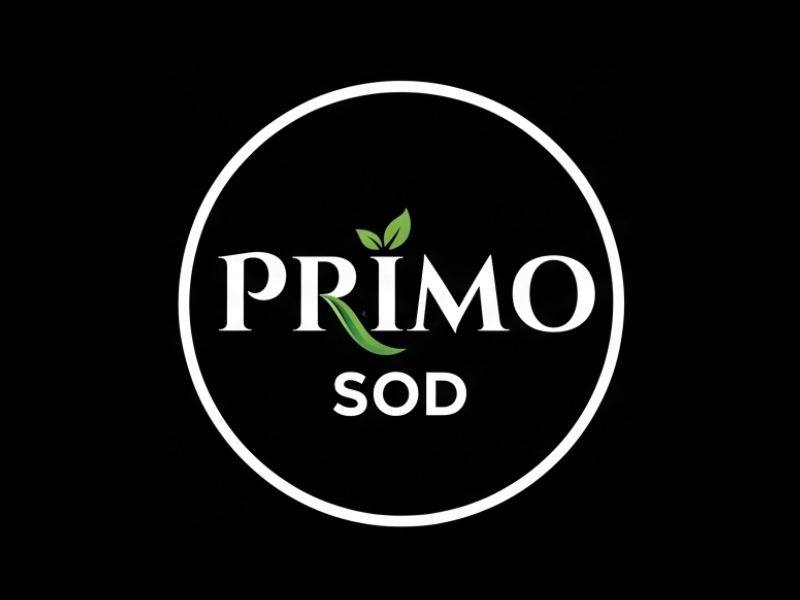 Primo Sod logo design by Berkah Corel