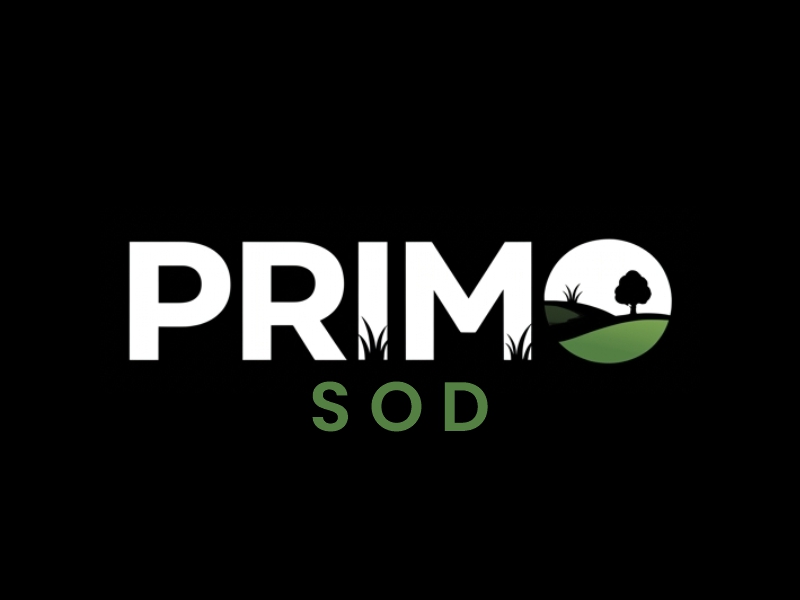 Primo Sod logo design by Berkah Corel