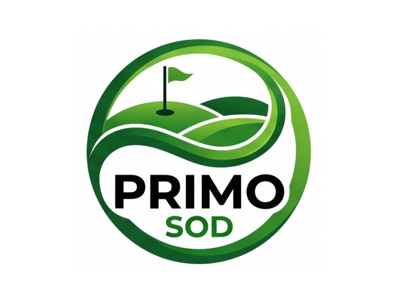 Primo Sod logo design by Berkah Corel