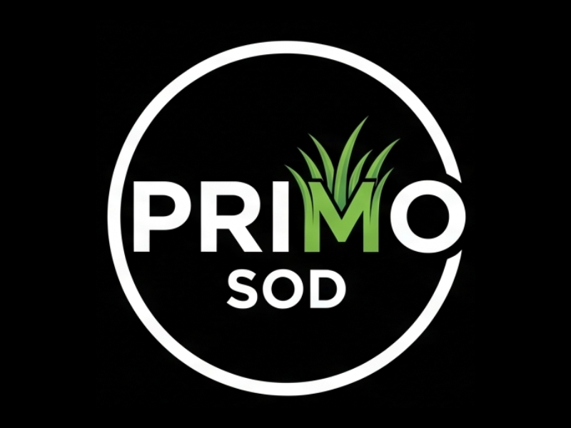 Primo Sod logo design by Berkah Corel