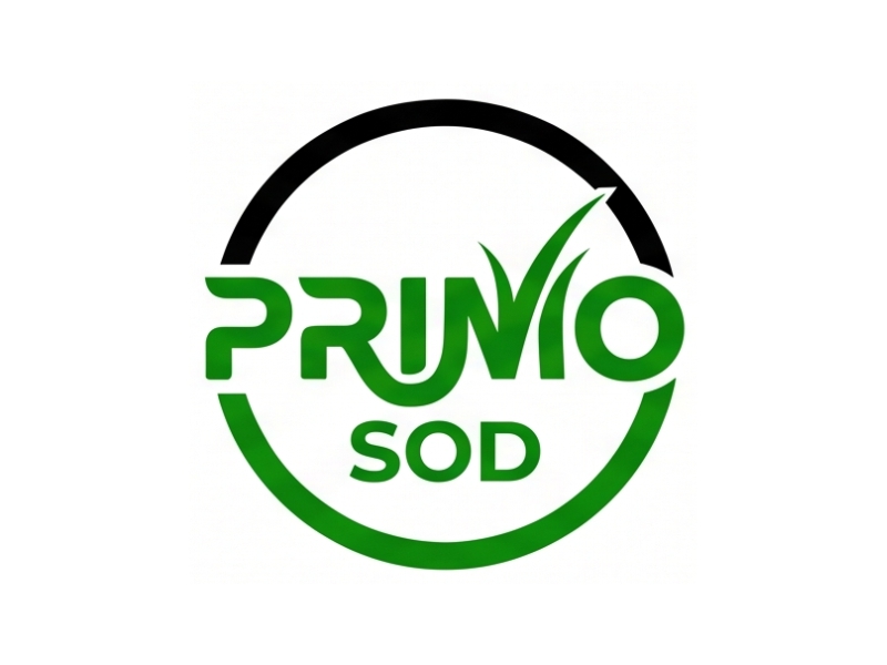  logo design by Berkah Corel