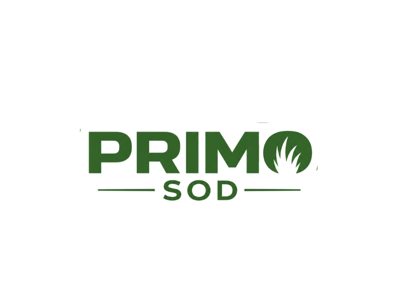 Primo Sod logo design by Michael Luutu