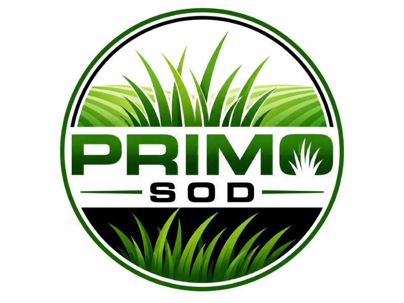 Primo Sod logo design by Anirban Maity