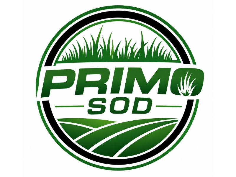 Primo Sod logo design by Anirban Maity