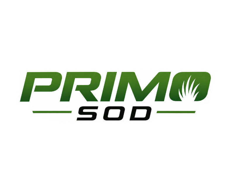 Primo Sod logo design by Anirban Maity