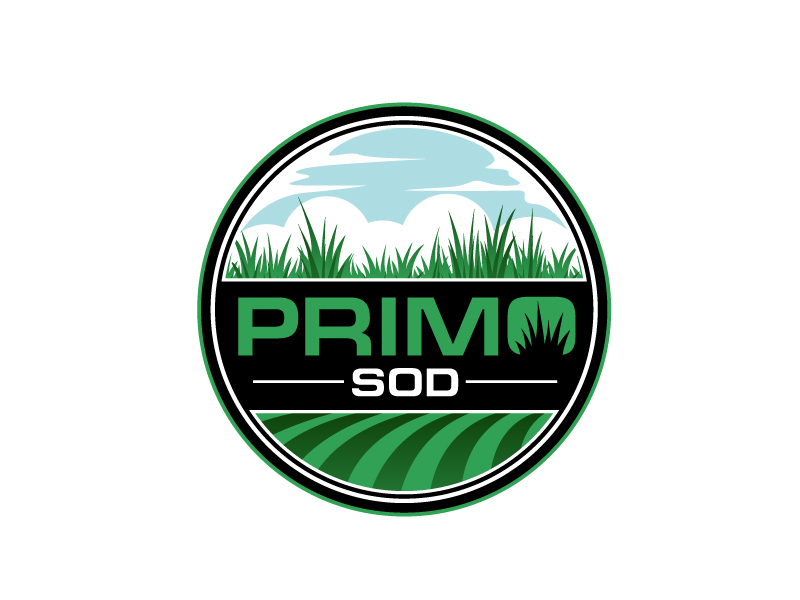  logo design by DreamLogoDesign