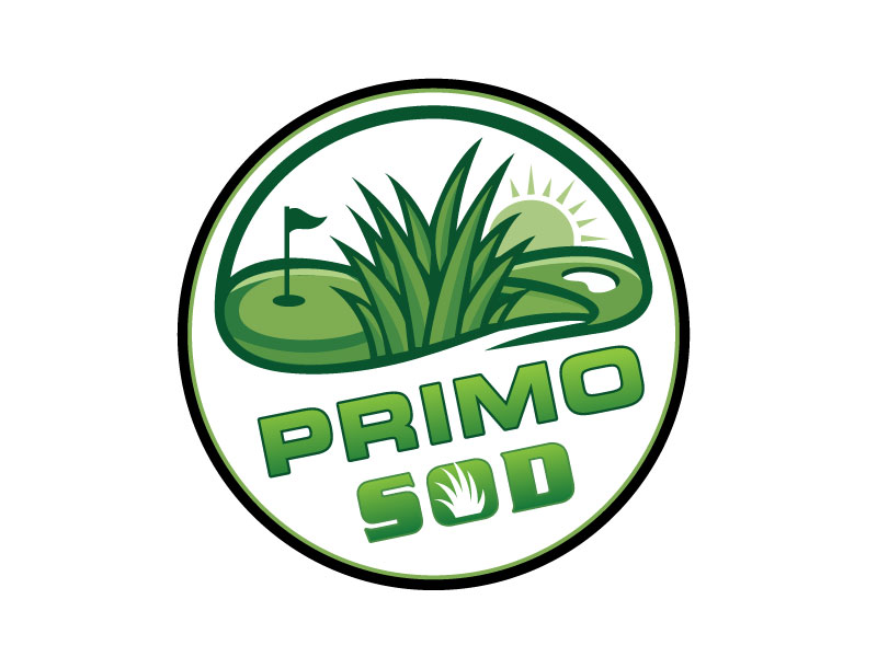  logo design by Bibek Nag
