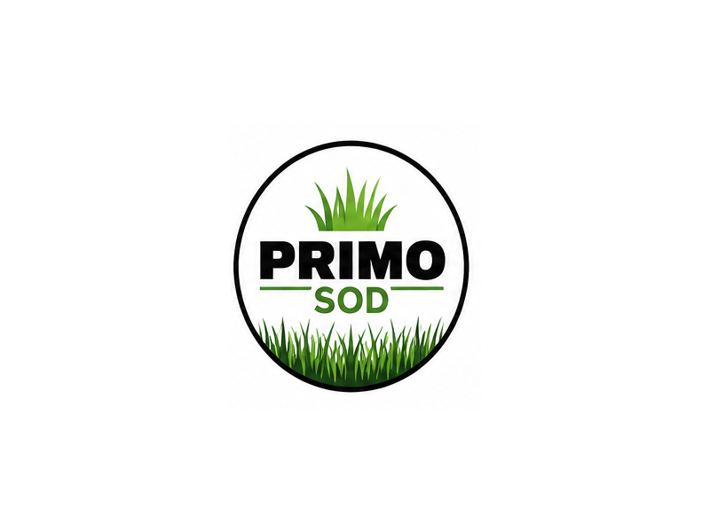 Primo Sod logo design by Bright Ritchil