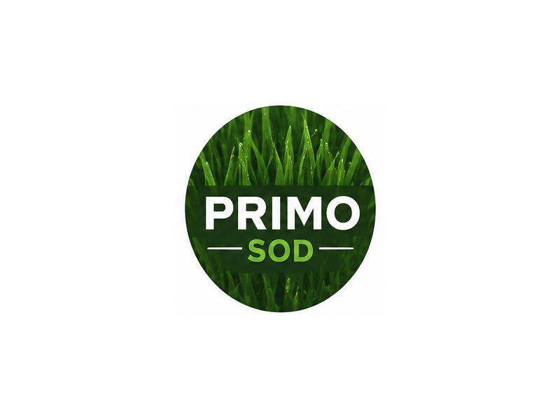  logo design by Bright Ritchil