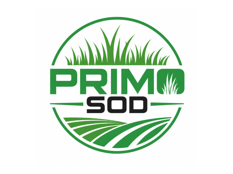 Primo Sod logo design by Anirban Maity