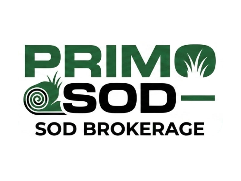 Primo Sod logo design by Anirban Maity