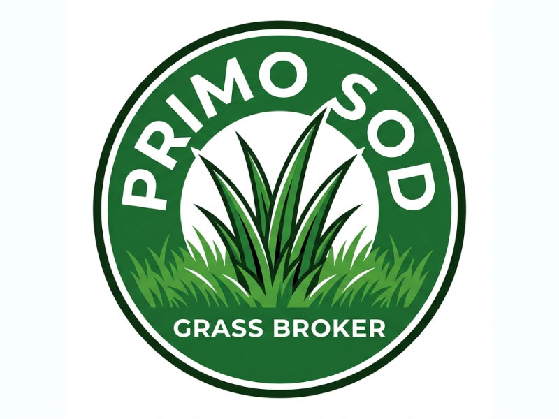 Primo Sod logo design by Anirban Maity