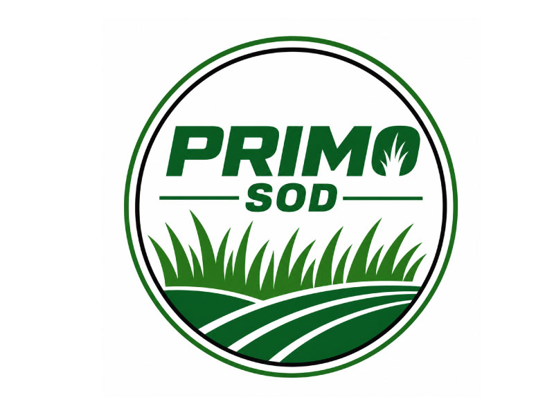 Primo Sod logo design by Anirban Maity