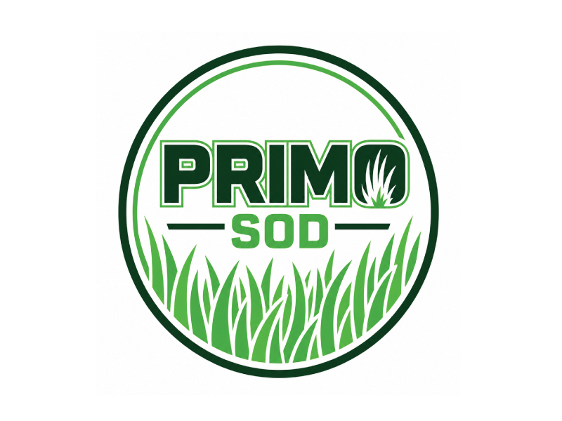  logo design by pixalrahul