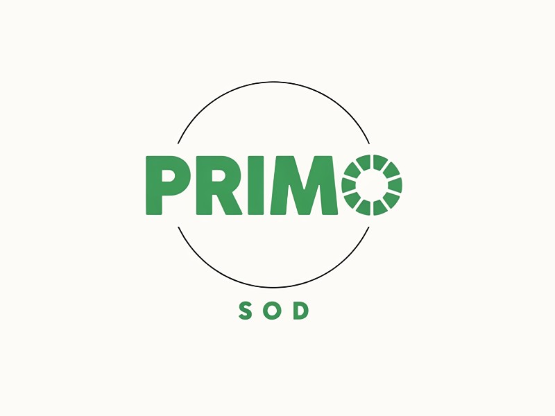  logo design by seseran