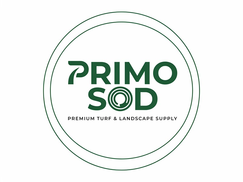  logo design by Novita