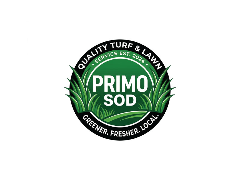  logo design by Ebad uddin