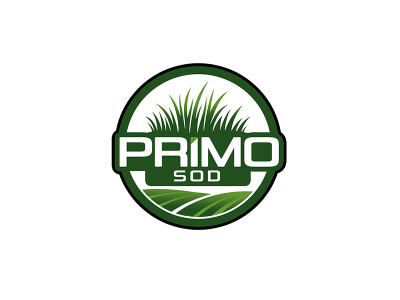  logo design by DADA007