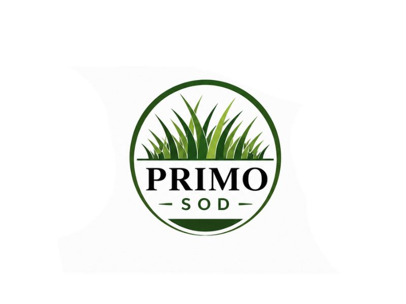Primo Sod logo design by Michael Luutu