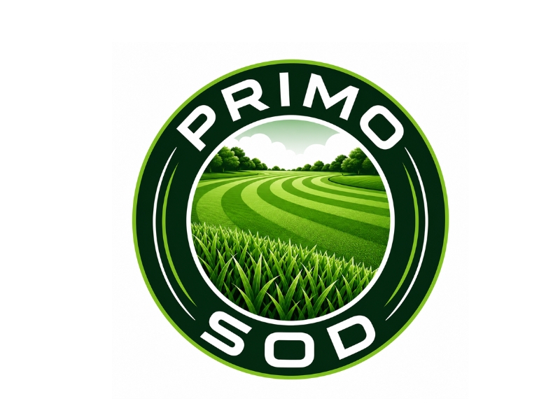 Primo Sod logo design by Michael Luutu