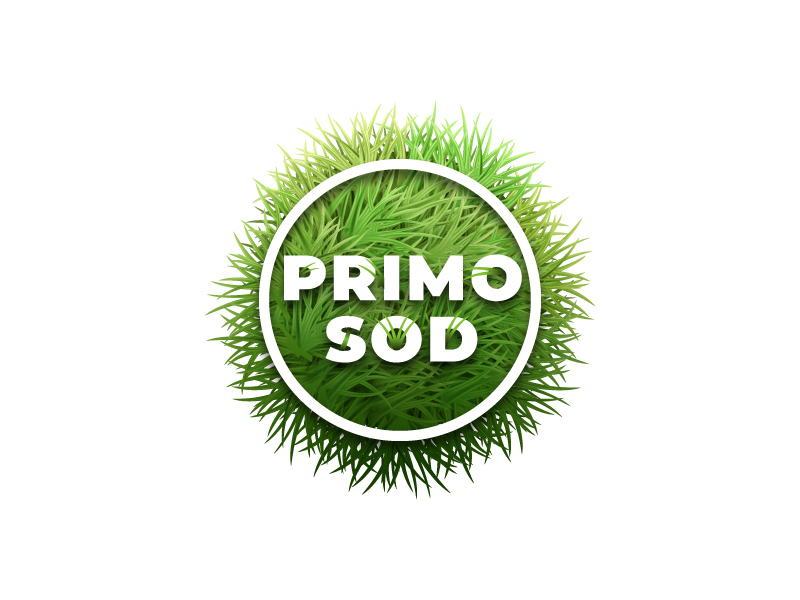  logo design by bram