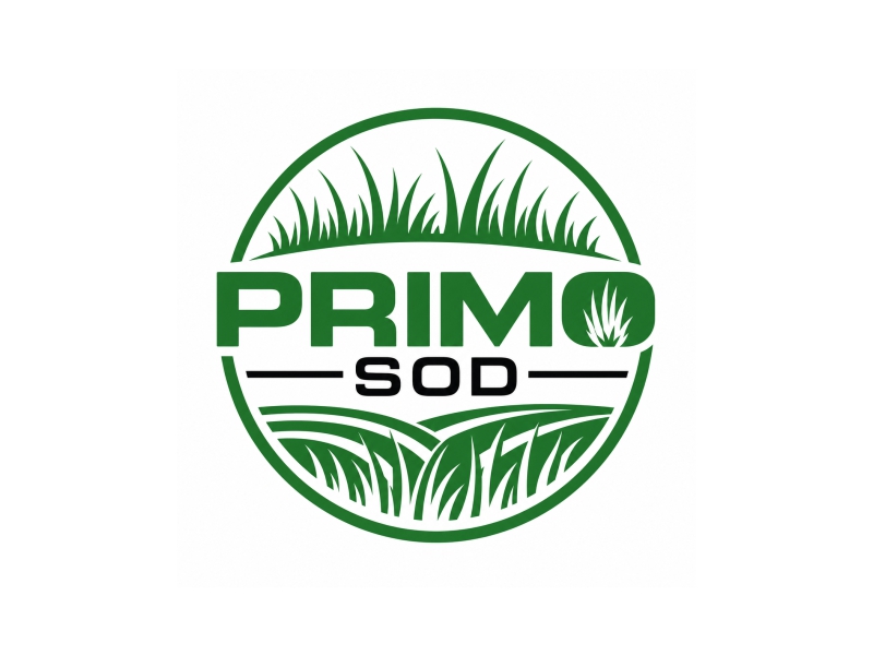  logo design by MREZ