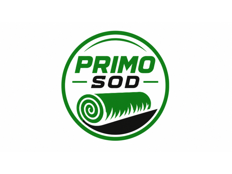  logo design by amazing