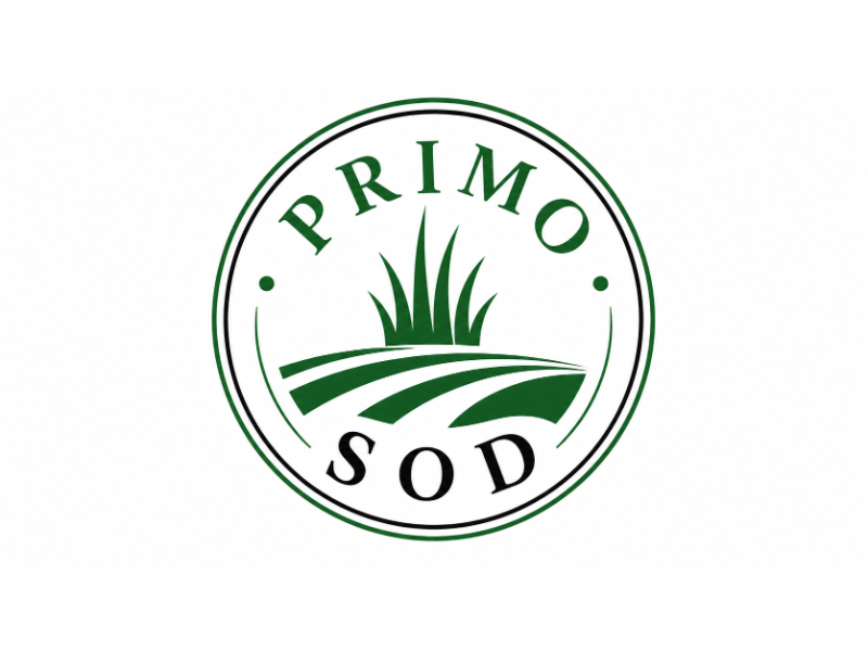  logo design by Al-fath