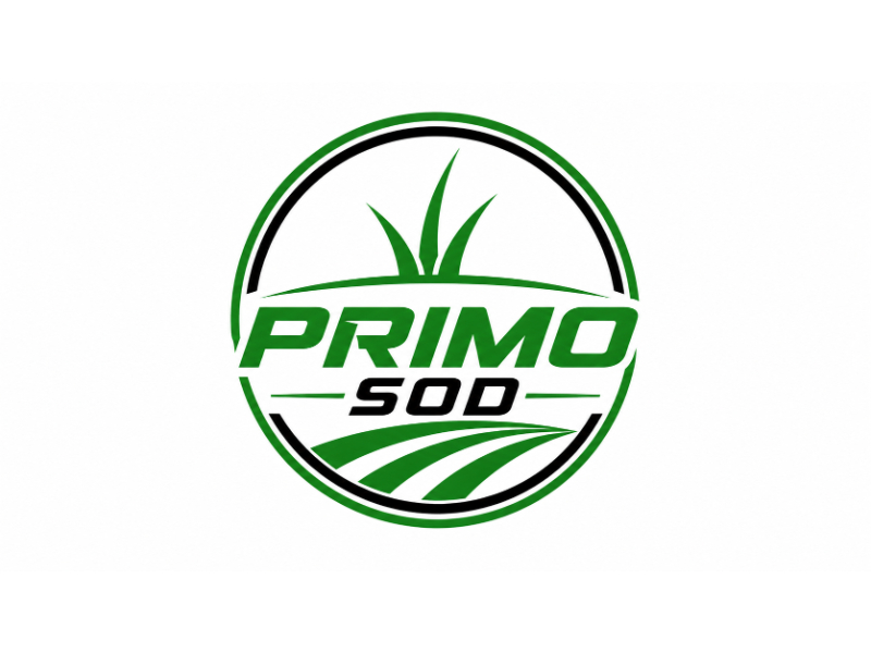 Primo Sod logo design by fitriangga