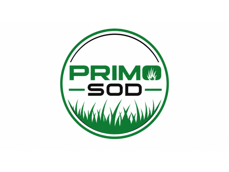 Primo Sod logo design by fitriangga