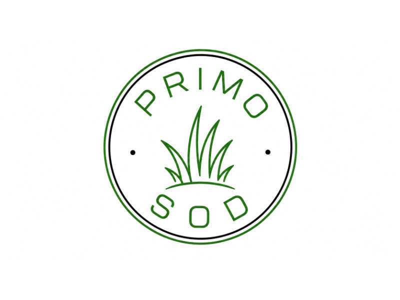 Primo Sod logo design by fitriangga