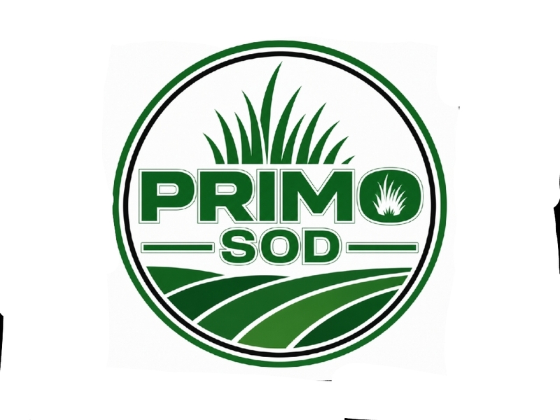  logo design by MarkindDesign