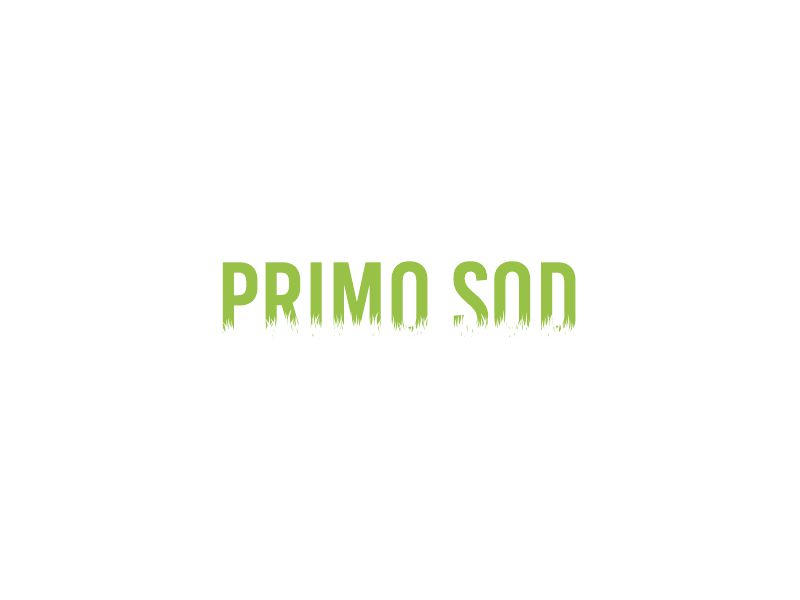  logo design by Zeratu