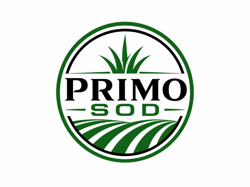 Primo Sod logo design by M Fariid