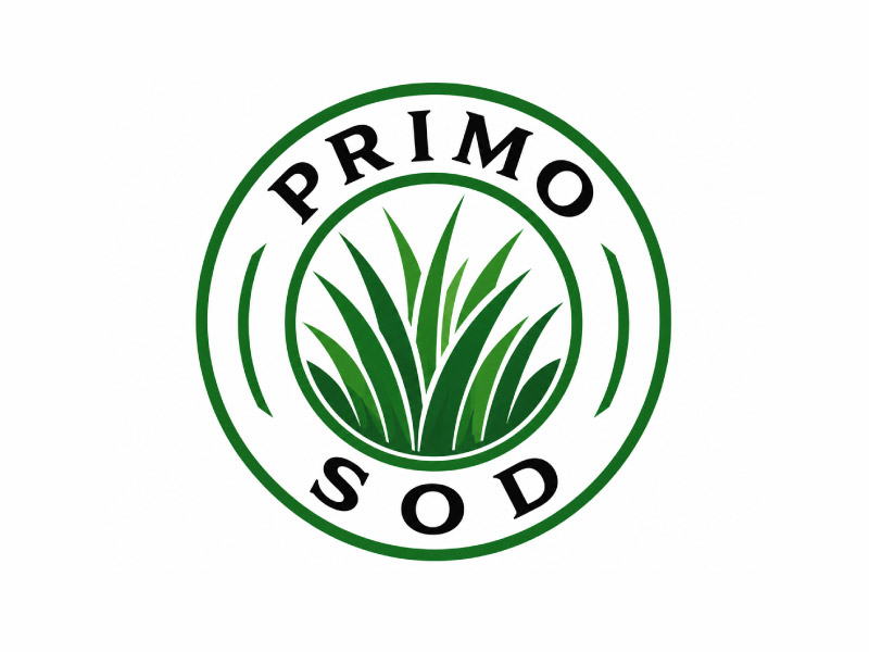 Primo Sod logo design by M Fariid