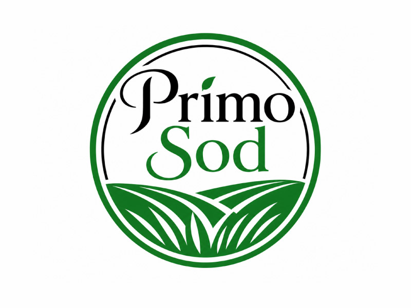  logo design by M Fariid
