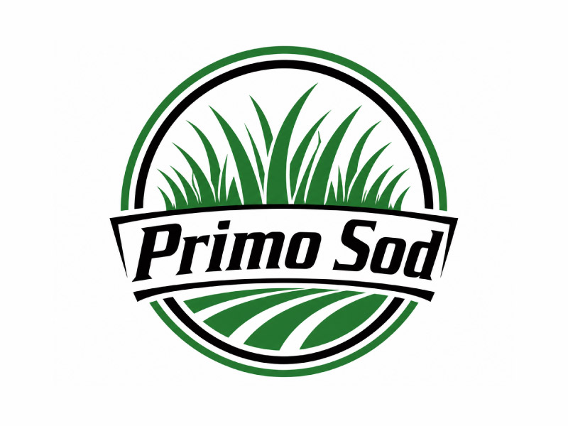 Primo Sod logo design by M Fariid