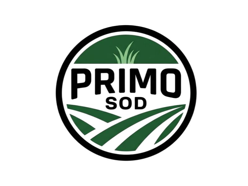 Primo Sod logo design by joni