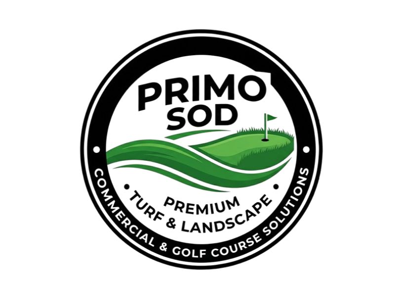 logo design by joni