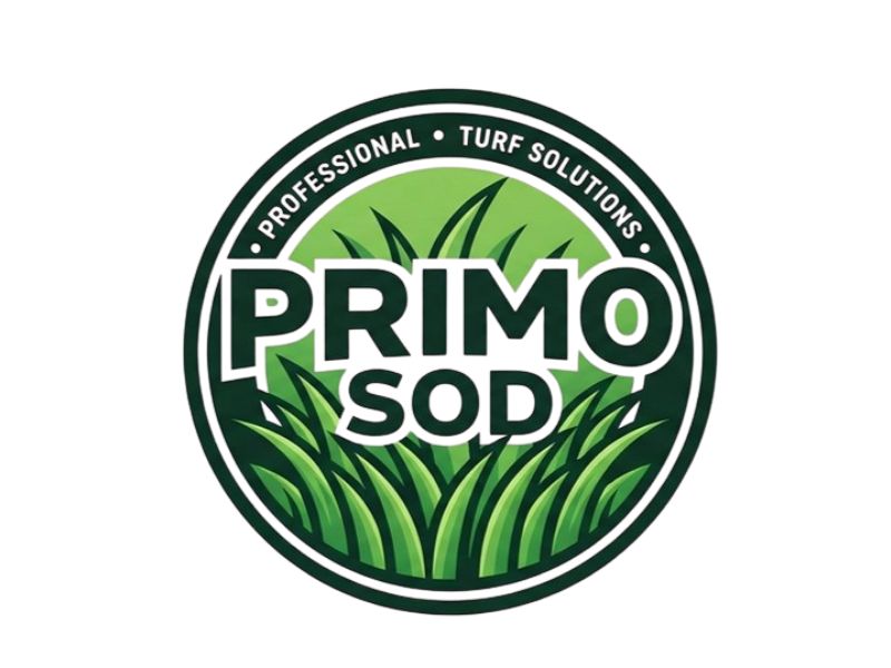 Primo Sod logo design by Ayamas