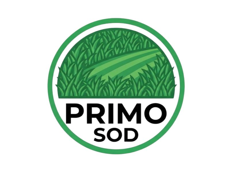 Primo Sod logo design by Ayamas