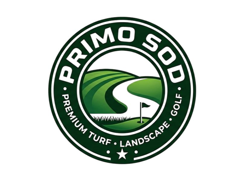  logo design by Ayamas
