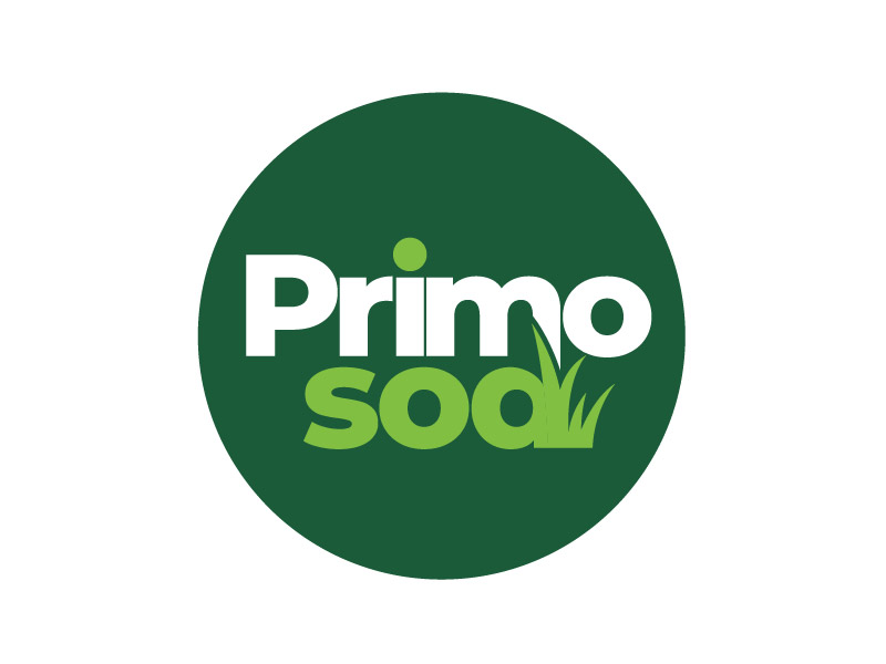  logo design by superbeam