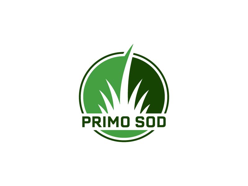  logo design by CreativeKiller