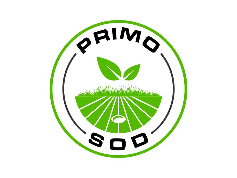  logo design by done
